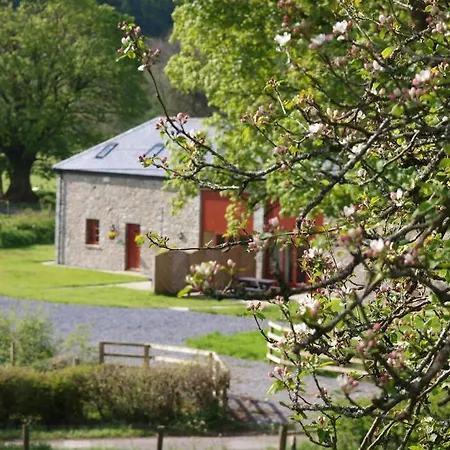 Peregrine Stable Cottage Llandovery Exterior photo