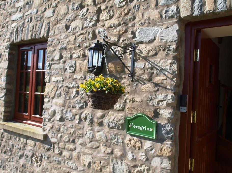 Peregrine Stable *