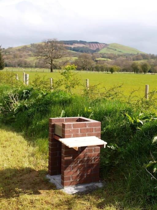 Peregrine Stable Llandovery